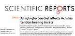 A high-glucose diet affects Achilles tendon healing in rats Fr. Heu