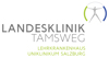Neues Logo der LK Tamsweg