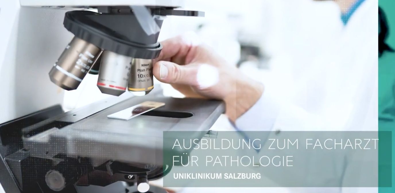 Ärztliche Ausbildung am  | Universitätsinstitut für Pathologie