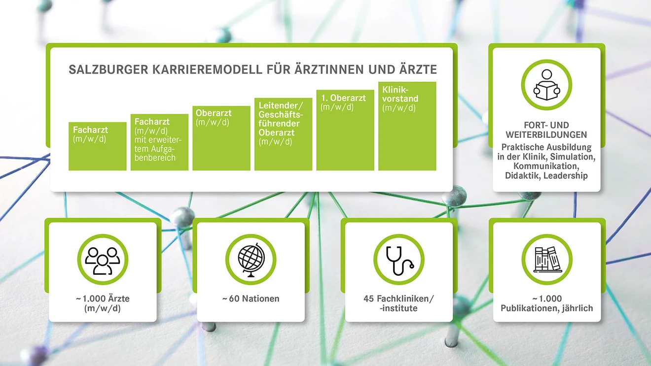Grafik Karrieremodell für Fachärztinnen und Fachärzte
