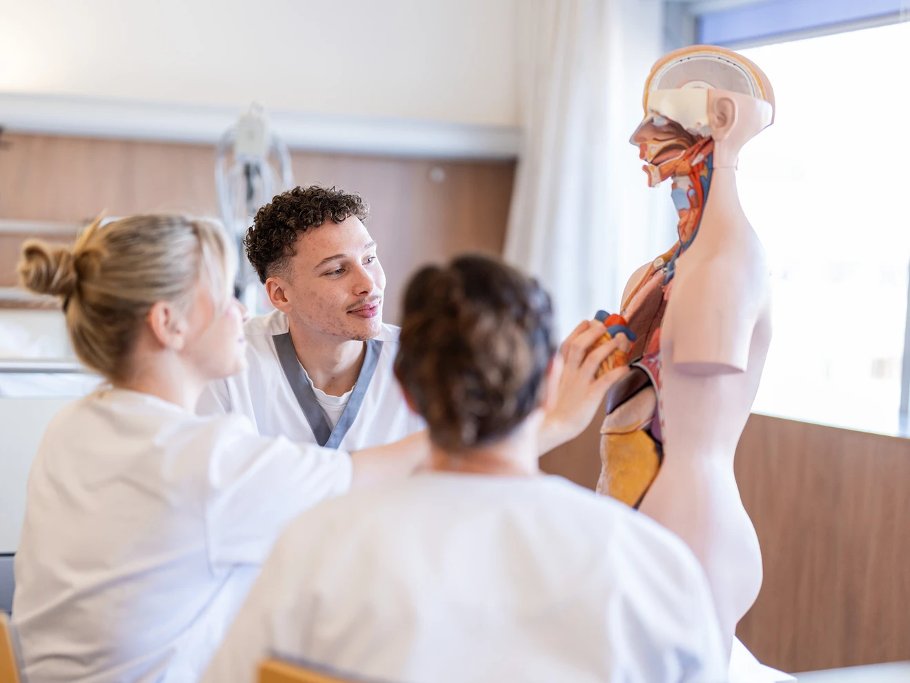SchülerInnen erlernen anhand eines Modells Anatomie - Schule der SALK