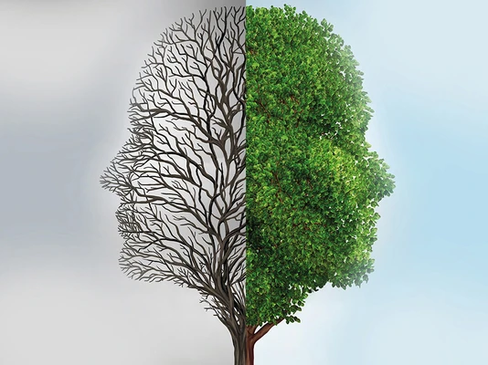 Baum in Kopfform mit zwei verschiedenen Seiten als Symbol für psychiatrische Erkrankungen - Weiterbildungen nach GuK