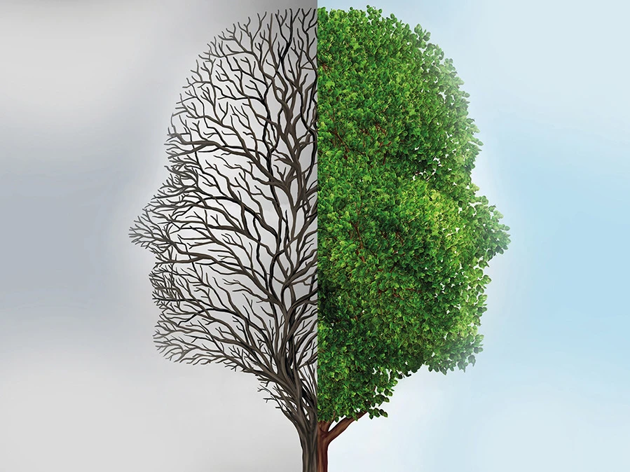 Baum in Kopfform mit zwei verschiedenen Seiten als Symbol für psychiatrische Erkrankungen -Weiterbildung Psychiatrische Pflege