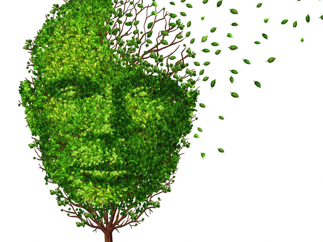 Baum im Form eines Kopfs verliert Blätter -ein Symbol für Demenz - die Weiterbildungen der SALK nach GUK